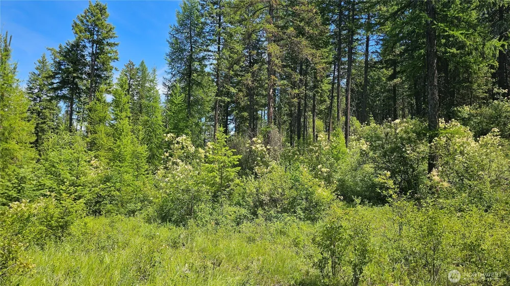 432 X Bussard Lake Road Loon Lake, WA 99148