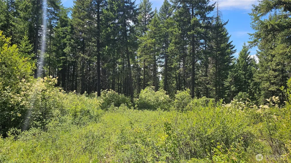 432 X Bussard Lake Road Loon Lake, WA 99148