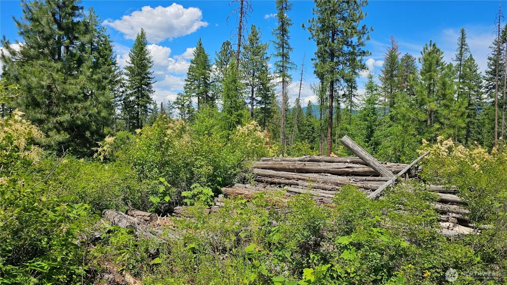 432 X Bussard Lake Road Loon Lake, WA 99148