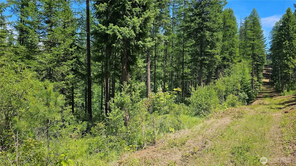 432 X Bussard Lake Road Loon Lake, WA 99148