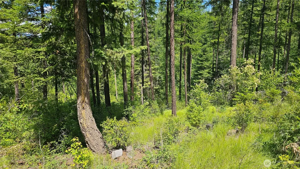 432 X Bussard Lake Road Loon Lake, WA 99148