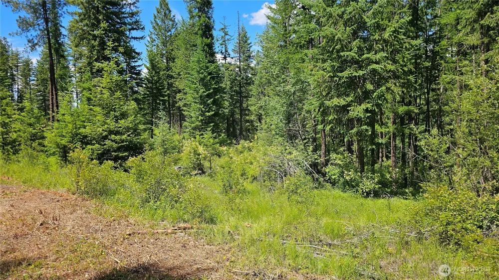 432 X Bussard Lake Road Loon Lake, WA 99148