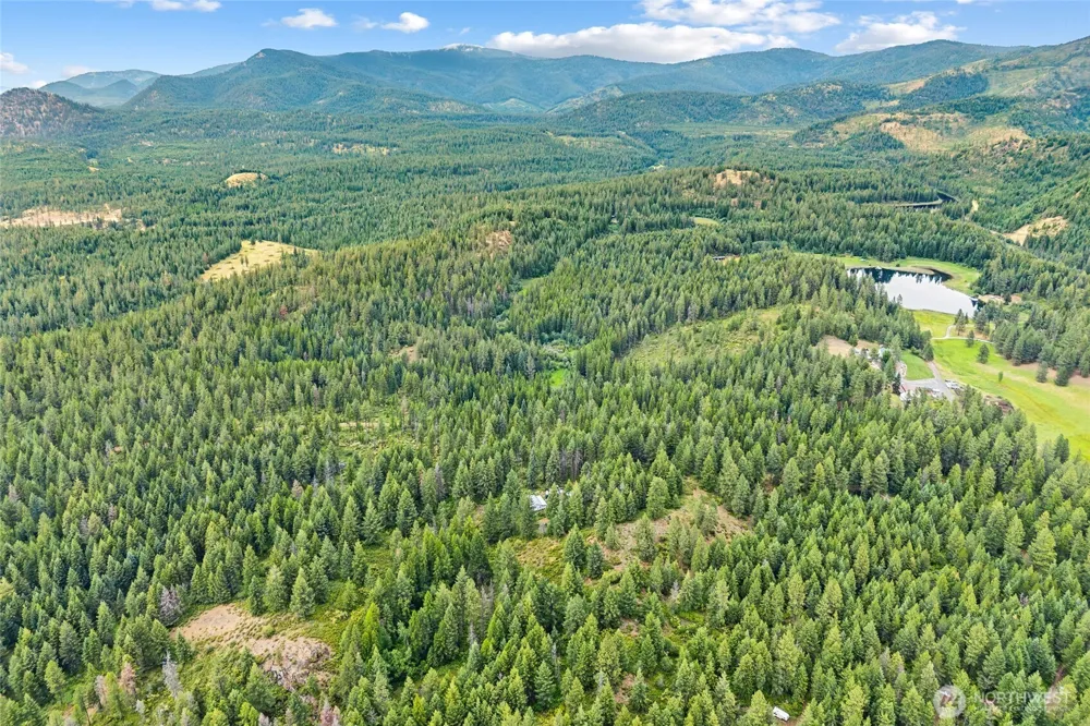 432 X Bussard Lake Road Loon Lake, WA 99148