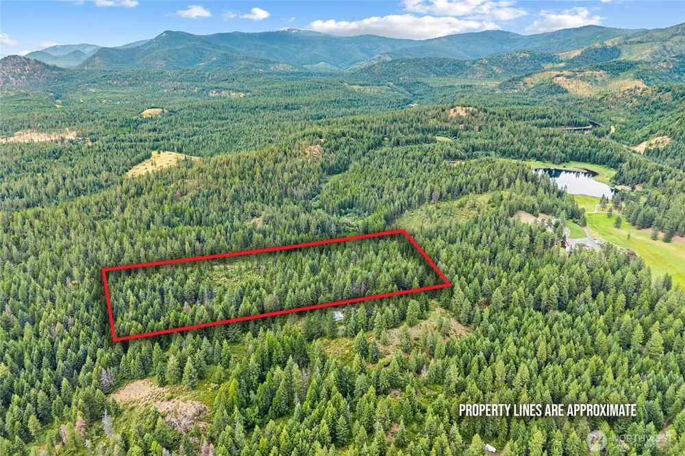 432 X Bussard Lake Road Loon Lake, WA 99148