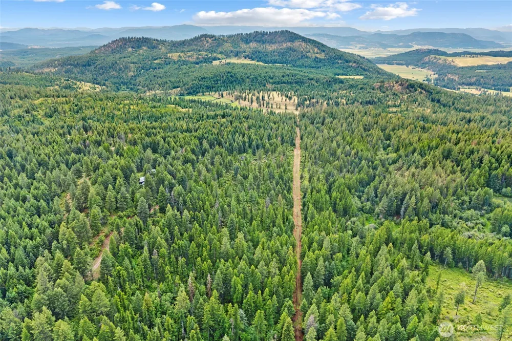 432 X Bussard Lake Road Loon Lake, WA 99148