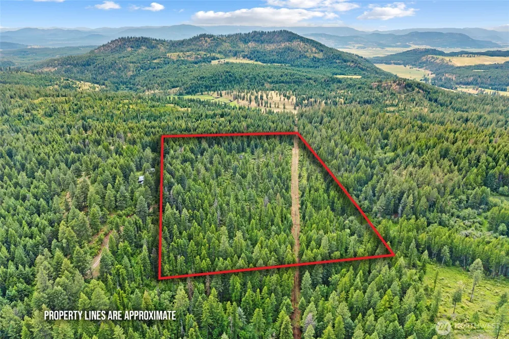 432 X Bussard Lake Road Loon Lake, WA 99148