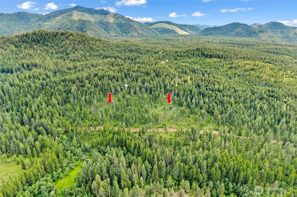 432 X Bussard Lake Road Loon Lake, WA 99148