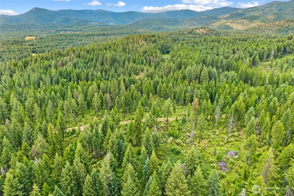 432 X Bussard Lake Road Loon Lake, WA 99148