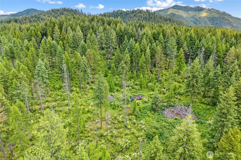432 X Bussard Lake Road Loon Lake, WA 99148