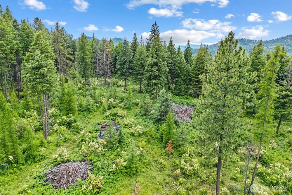 432 X Bussard Lake Road Loon Lake, WA 99148