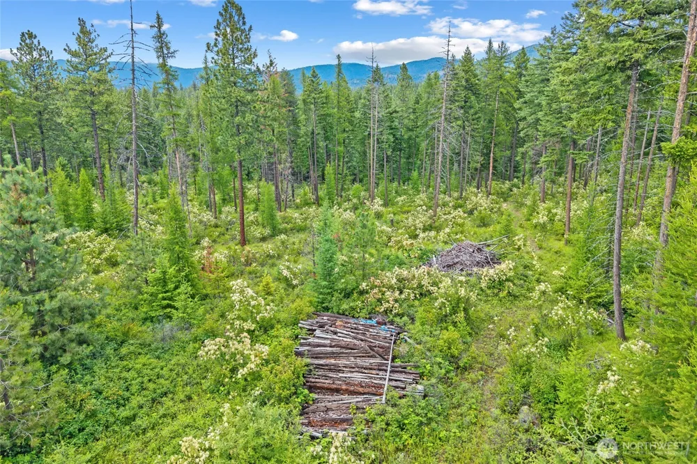 432 X Bussard Lake Road Loon Lake, WA 99148