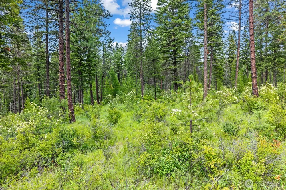 432 X Bussard Lake Road Loon Lake, WA 99148