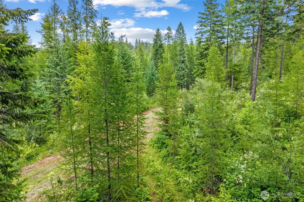 432 X Bussard Lake Road Loon Lake, WA 99148
