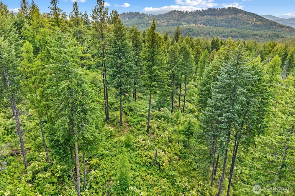 432 X Bussard Lake Road Loon Lake, WA 99148