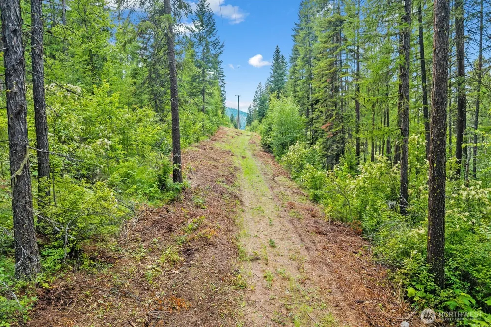 432 X Bussard Lake Road Loon Lake, WA 99148