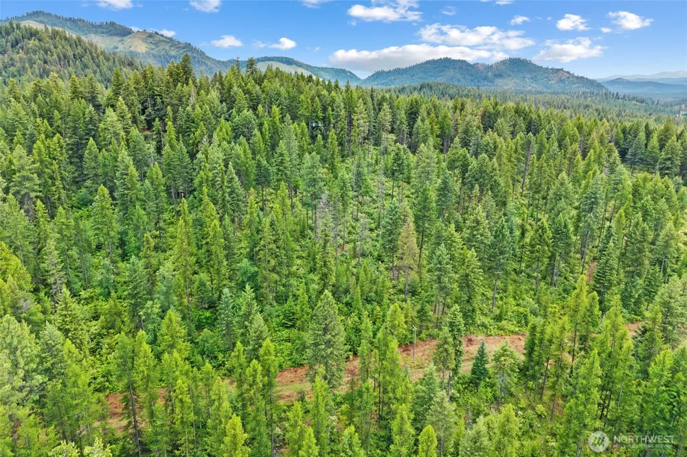 432 X Bussard Lake Road Loon Lake, WA 99148