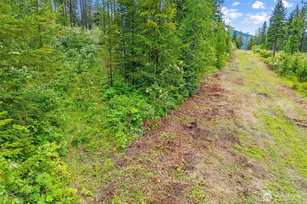 432 X Bussard Lake Road Loon Lake, WA 99148