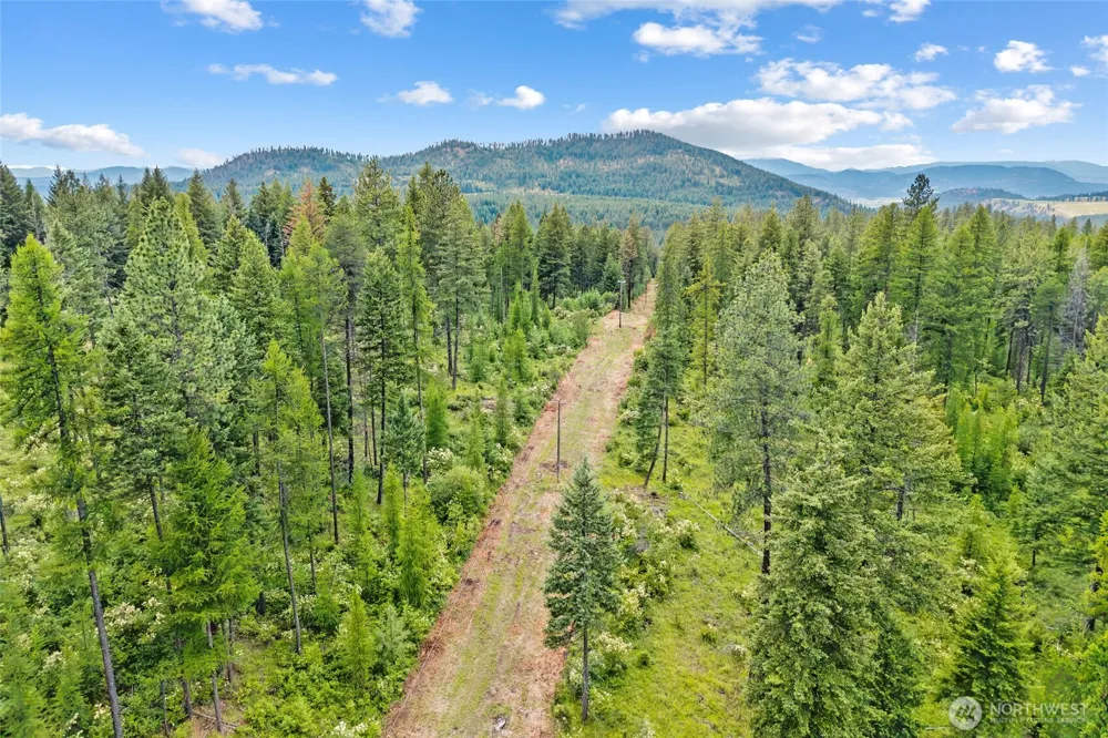 432 X Bussard Lake Road Loon Lake, WA 99148