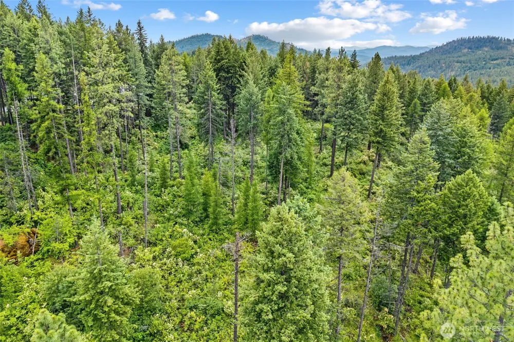 432 X Bussard Lake Road Loon Lake, WA 99148