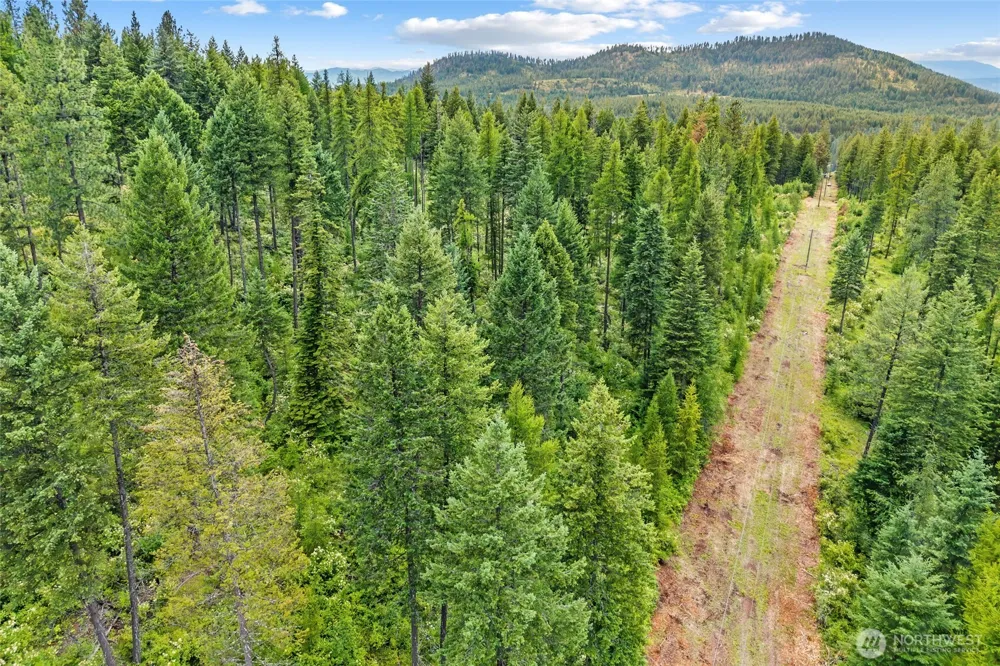 432 X Bussard Lake Road Loon Lake, WA 99148