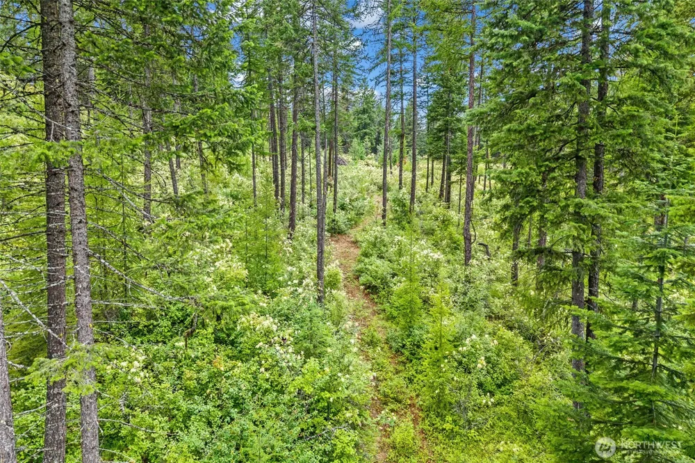 432 X Bussard Lake Road Loon Lake, WA 99148