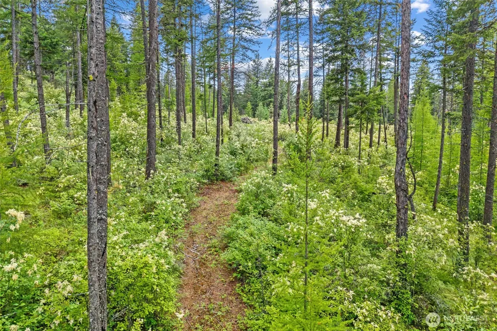432 X Bussard Lake Road Loon Lake, WA 99148