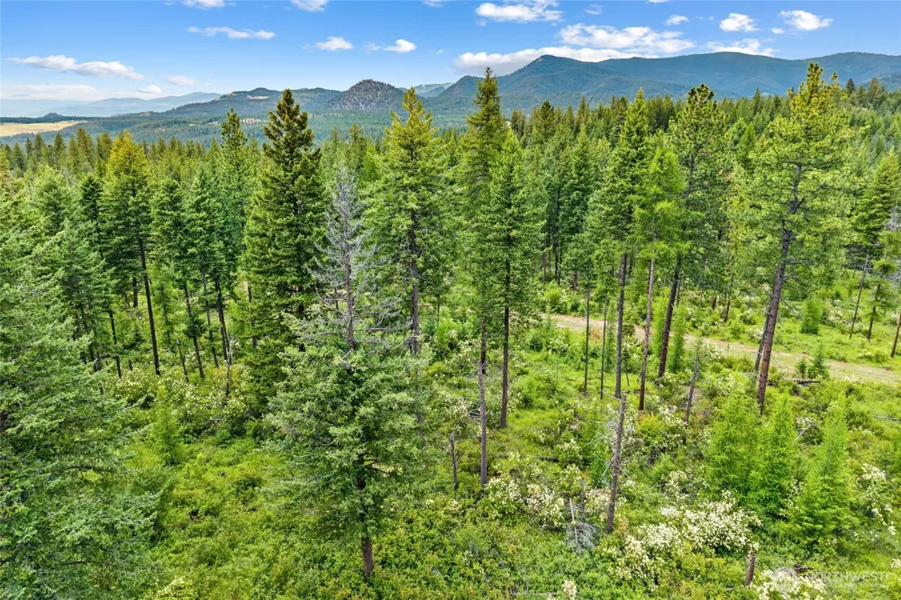432 X Bussard Lake Road Loon Lake, WA 99148