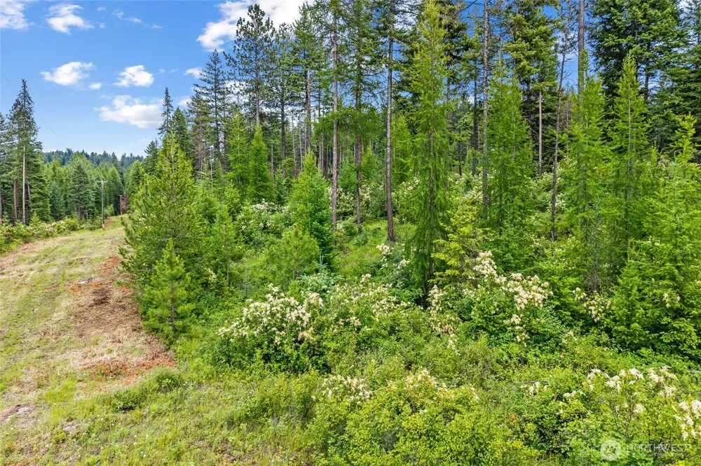 432 X Bussard Lake Road Loon Lake, WA 99148