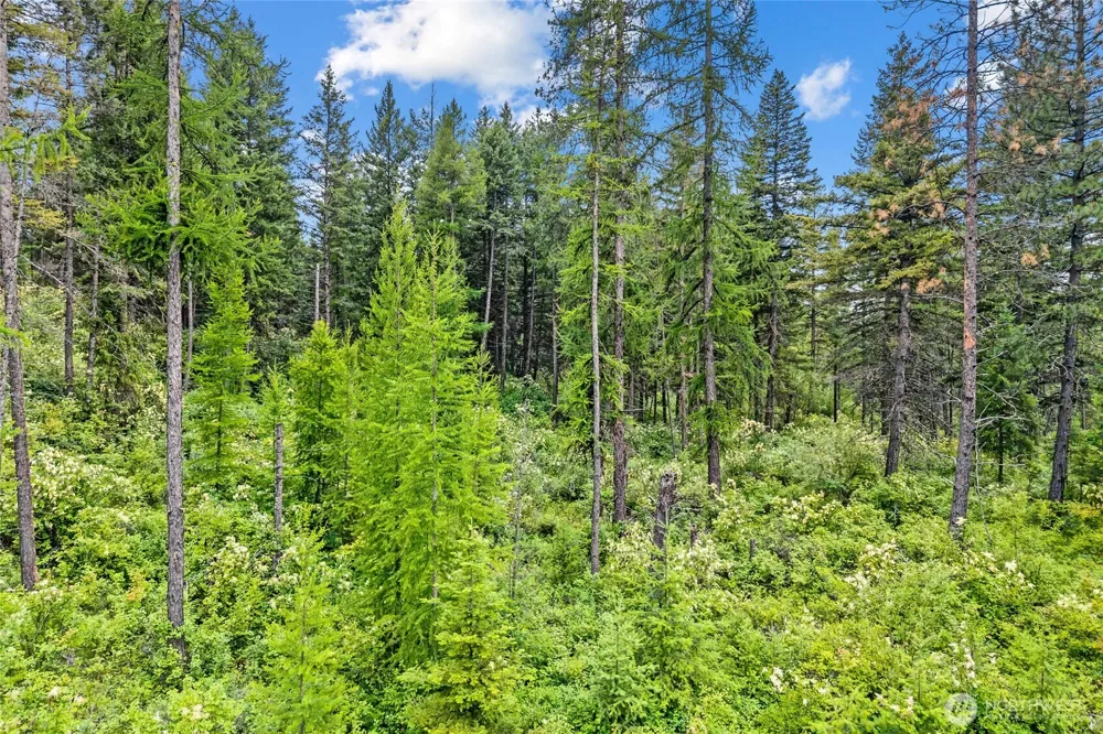 432 X Bussard Lake Road Loon Lake, WA 99148
