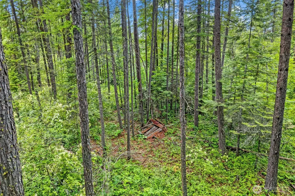 432 X Bussard Lake Road Loon Lake, WA 99148
