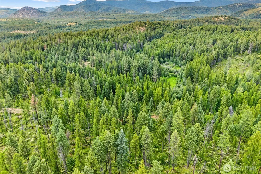 432 X Bussard Lake Road Loon Lake, WA 99148