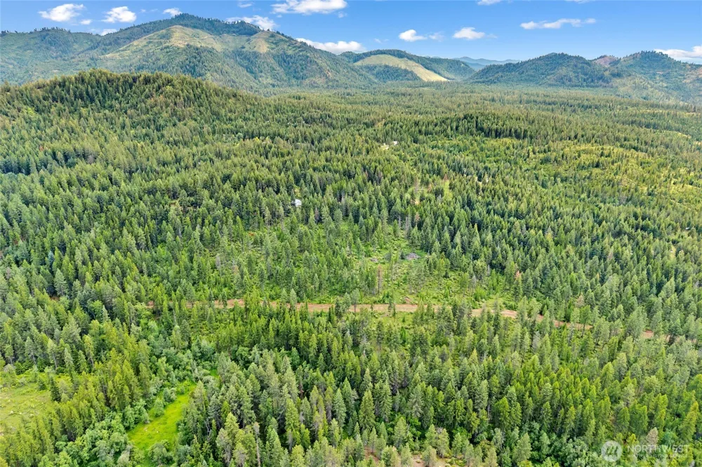 432 X Bussard Lake Road Loon Lake, WA 99148