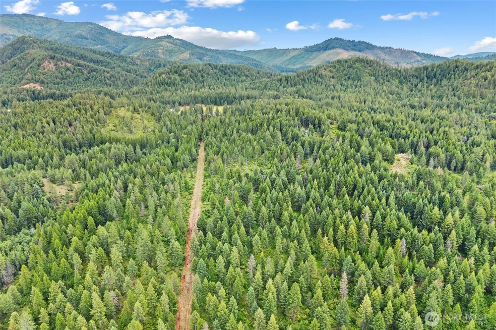 432 X Bussard Lake Road Loon Lake, WA 99148