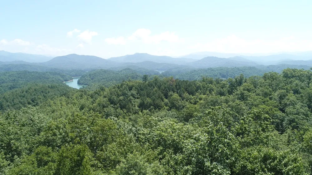 Hwy 28 N Almond, NC 28702