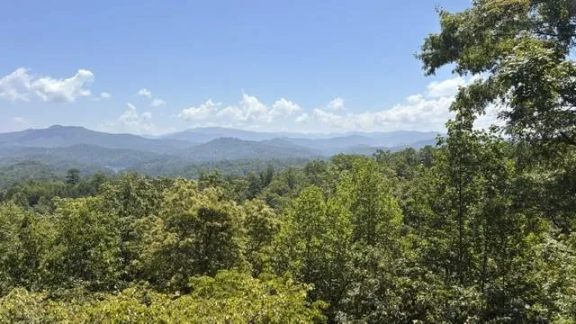 Hwy 28 N Almond, NC 28702