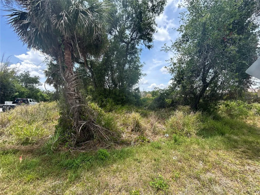 17232 WALDRUN AVENUE Port Charlotte, FL 33948