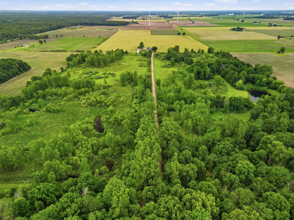 7 E Johnson Road Ashley, MI 48806
