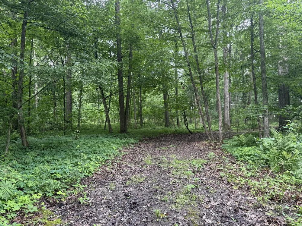 7 E Johnson Road Ashley, MI 48806