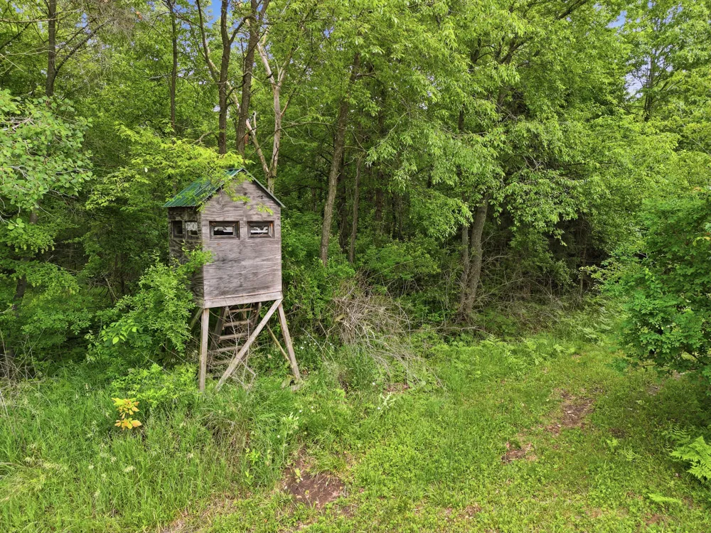 7 E Johnson Road Ashley, MI 48806