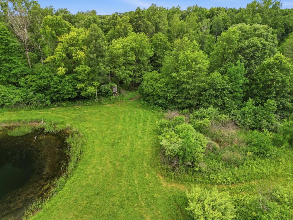 7 E Johnson Road Ashley, MI 48806