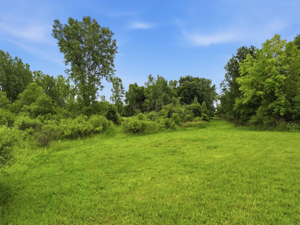 7 E Johnson Road Ashley, MI 48806