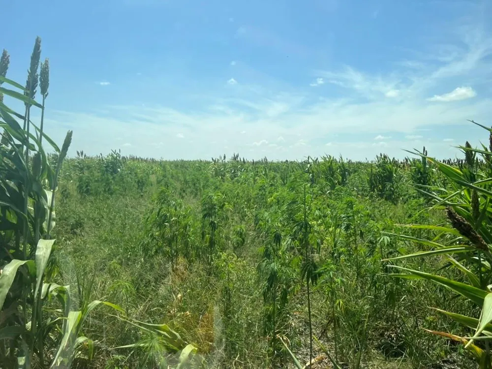 3000 County Road 352 Bartlett, TX 76511