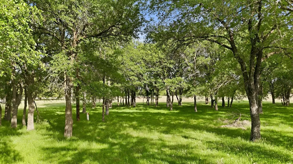 400 River Ranch Road Aledo, TX 76008