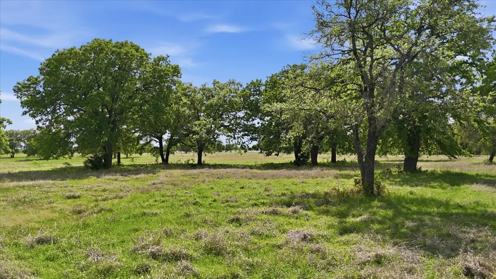 400 River Ranch Road Aledo, TX 76008