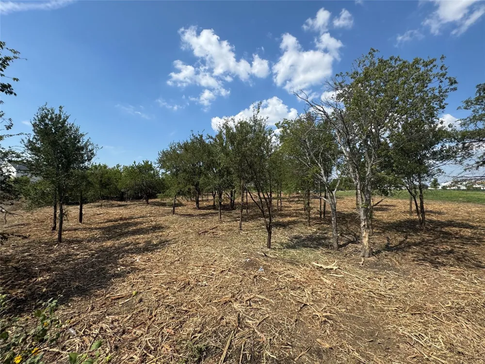 947 Lilac Lane Frisco, TX 75034