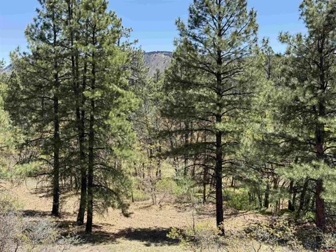 Ventana Pass