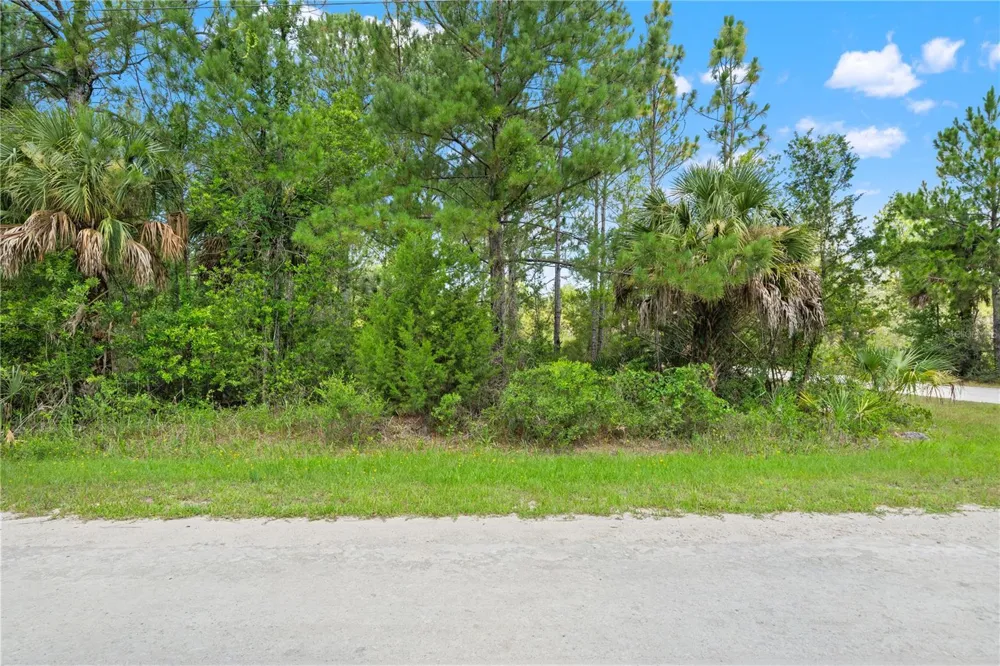 RAMSEY ROAD #16 Weeki Wachee, FL 34614