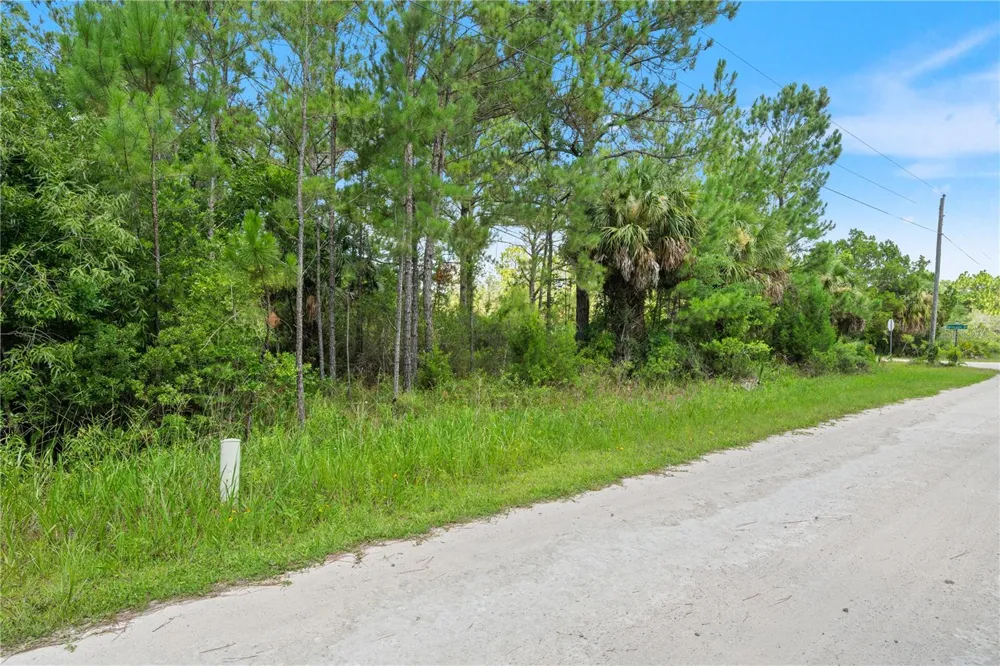 RAMSEY ROAD #16 Weeki Wachee, FL 34614
