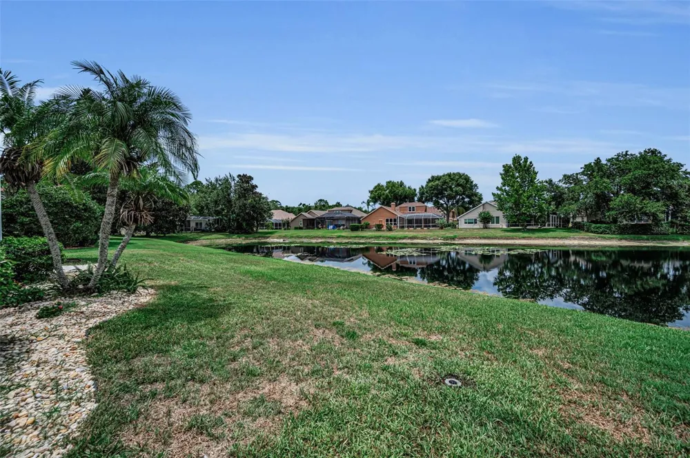 4084 LIGUSTRUM DRIVE Palm Harbor, FL 34685