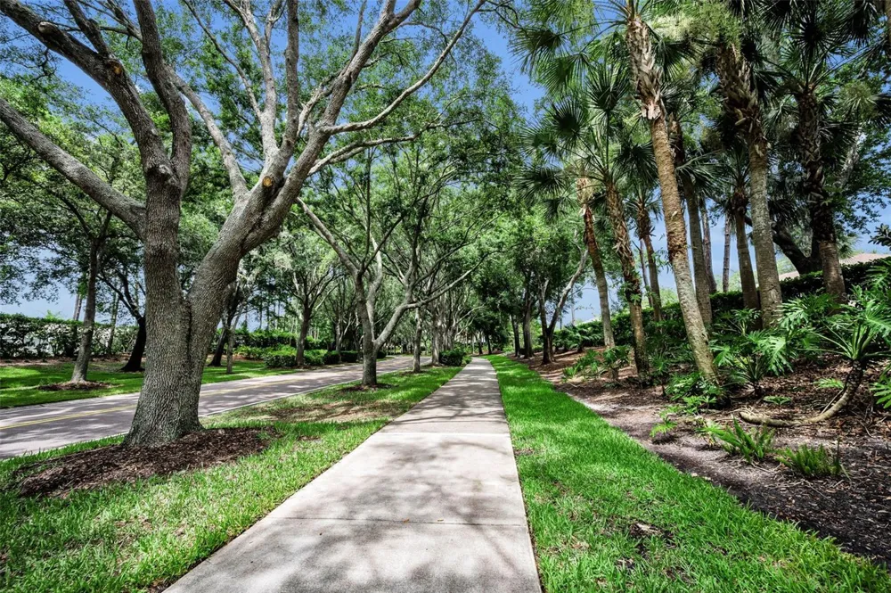 4084 LIGUSTRUM DRIVE Palm Harbor, FL 34685
